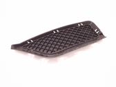 Front bumper lower grill