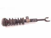 Front shock absorber with coil spring