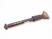 Rear shock absorber/damper