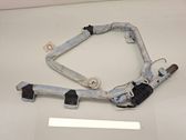 Airbag de toit