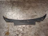 Wiper trim