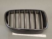 Front bumper upper radiator grill