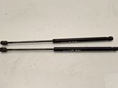 Tailgate/trunk strut/damper