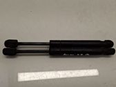 Front bonnet/hood damper/strut
