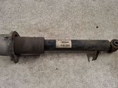 Rear shock absorber/damper