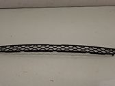 Front bumper lower grill
