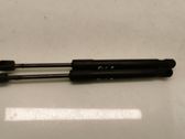 Front bonnet/hood damper/strut