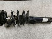 Front shock absorber/damper