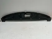 Engine bonnet/hood lock trim molding