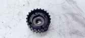 Crankshaft gear