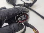 Other wiring loom