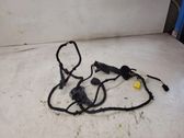 Other wiring loom