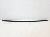Rear bumper trim bar molding