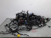 Other wiring loom