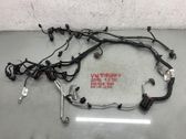 Faisceau de câblage pour moteur