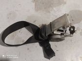 Cinturón trasero