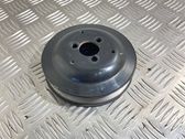 Polea de la bomba de agua