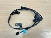Cableado del sensor ABS trasero