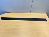 Front door trim (molding)