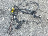 Other wiring loom