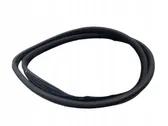 Rubber seal front door (on door)