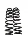 Rear coil spring