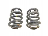 Rear coil spring