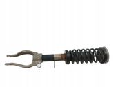 Front shock absorber/damper