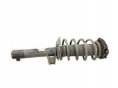 Front shock absorber/damper