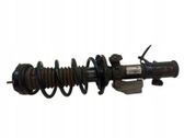 Front shock absorber/damper