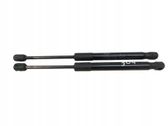 Front bonnet/hood damper/strut