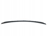 Windshield trim