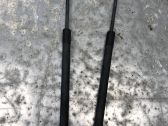 Tailgate/trunk strut/damper