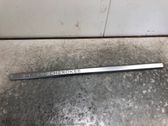 Front door trim (molding)