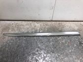 Front door trim (molding)