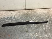 Rear door trim (molding)