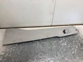 (B) pillar trim (bottom)