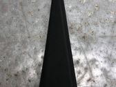 Rear door glass trim molding