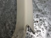 (C) pillar trim