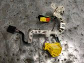 Other wiring loom