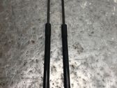 Tailgate/trunk strut/damper