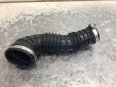 Manguera/tubo del intercooler