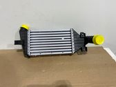 Intercooler radiator