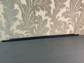Rear door glass trim molding