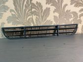 Front bumper lower grill