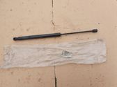Tailgate/trunk strut/damper