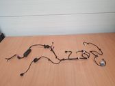Other wiring loom