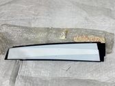 Moulures des vitres de la porte arrière
