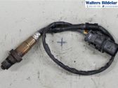 Sonde lambda