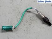 Sonde lambda